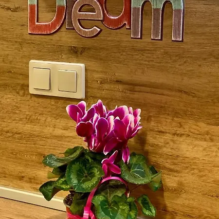 Pirin Dream View 아파트 *