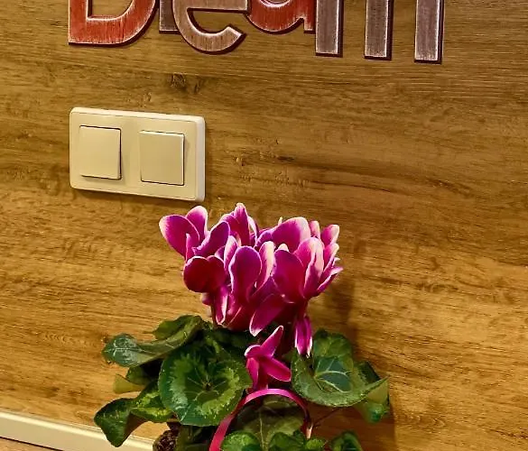 Pirin Dream View Apartman *